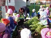 Sklízíme úrodu na školní zahrádce